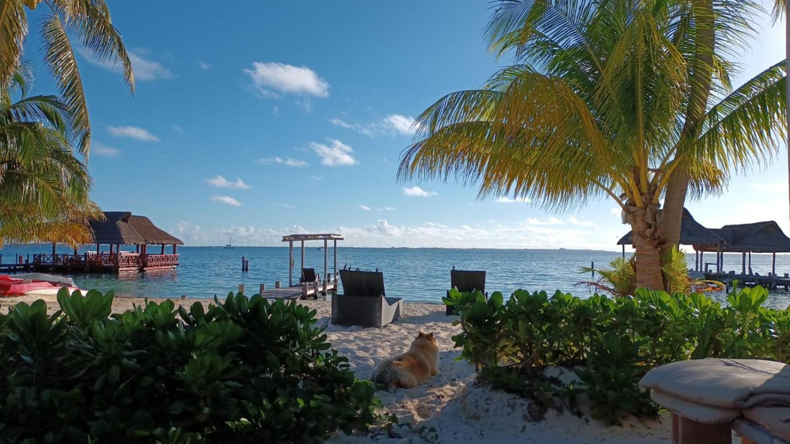 Cancun Private Apartment Ngoại thất bức ảnh